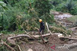 PLN UP3 Cianjur upayakan perbaikan jaringan listrik di Cianjur selatan akibat angin kencang