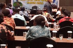 Ministry asks local govts in Papua to accelerate malaria elimination