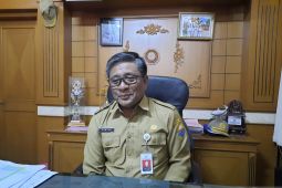 Jambi alokasikan Rp20 miliar untuk bantu pelaku UMKM