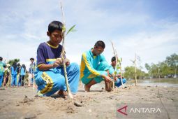 Jaga ekosistem laut, PT Timah libatkan pelajar dalam penanaman mangrove di Desa Batu Belubang