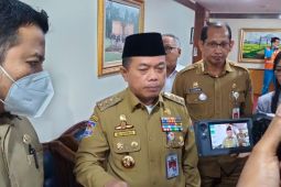 Pemerintah Jambi lakukan intervensi harga beras kendalikan inflasi
