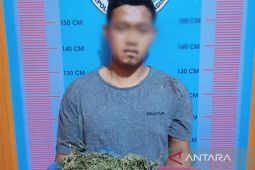 Pengedar ganja ditangkap polisi di Siantar, tersangka terancam penjara seumur hidup