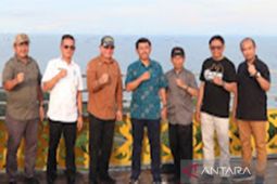 Wakil Kepala BKN RI nilai pariwisata Kotabaru go Internasional