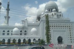 Jokowi meresmikan Masjid Raya Sheikh Zayed