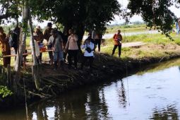 BRGM RI  percepat rehabilitasi hutan mangrove di Sumut