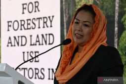 Pengamat politik: Yenny Wahid jadi figur allternatif cawapres