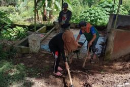 Asah kemampuan budidaya organik, Mahasiswa Polbangtan magang di YBSB