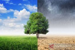 Dokter bagikan tips cegah "common illness" di musim pancaroba