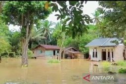 Sebanyak 88 KK di Kecamatan Batin XXIV terdampak banjir