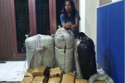 Polda Sumut tangkap seorang kurir narkoba