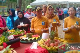 Dinkes Bangka sukses gelar HKN ke-58