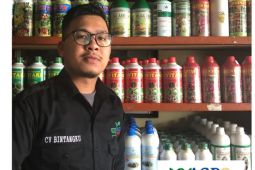 Manfaatkan dana KUR, alumni Polbangtan Medan gagas Aplikasi My Agromart bagi petani