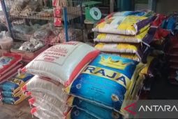 Batanghari genjot produksi padi lokal