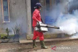 Warga terserang DBD di Mukomuko bertambah jadi 30 orang