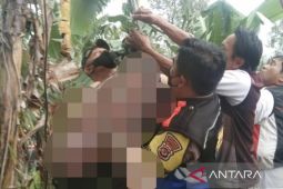 Polisi evakuasi warga tewas tersengat listrik saat panjat pohon pala