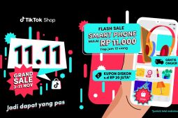 Indef : Tak ada alasan Mendag tunda revisi aturan terkait TikTok Shop
