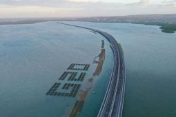 Dukung G20 Bali, Jasa Marga libatkan petani lokal tanam mangrove di Tol Bali-Mandara