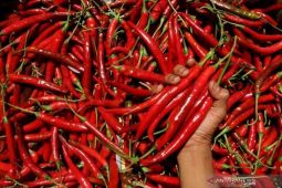 DPRD Medan dorong pemkot realisasikan kerja sama produk hortikultura