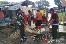 Dinkes catat 76 warga Rejang Lebong terserang DBD