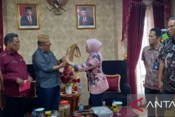 Pemerintah akan pasang sambungan listrik bawah laut ke Pulau Dudepo