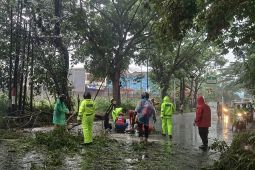 BPBD Kota Malang ingatkan masyarakat waspadai bencana hidrometeorologi