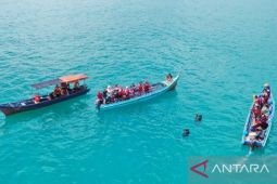 PT Timah Tbk tebar coral garden kembangkan wisata bawah laut Bangka