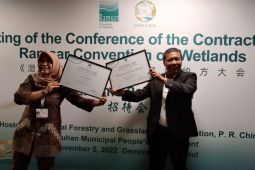 Bupati Tanjung Jabung Timur perolah penghargaan  "Ramsar's Award"