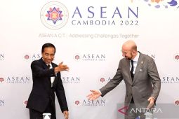Presiden Dewan Eropa sebut kepemimpinan Joko Widodo di G20 sangat baik