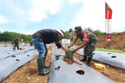 Anggota DPR Dedi Mulyadi sebut jaga ketahanan pangan berarti ikut menjaga negara
