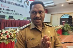 Bupati Pegaf: Bandara Anggi segera difungsikan