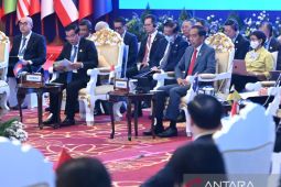 Developing countries strive for downstream rights: President Widodo