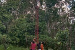 Diskominfo Tabalong bangun penguat sinyal di kawasan terpencil