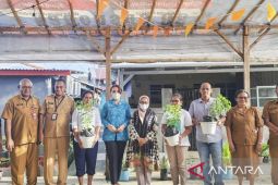 Pemkot Ambon bagikan tanaman cabai, upaya kendalikan inflasi