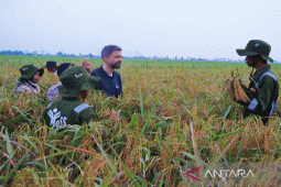 Hadir di Indonesia, Presiden IFAD apresiasi regenerasi petani