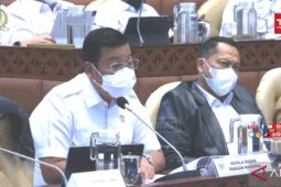 Badan Pangan mulai ketahanan pangan beras dengan subsidi Bulog