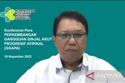 XBB dan BQ.1 mulai mendominasi kasus COVID-19 Indonesia