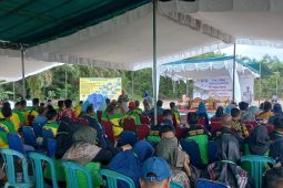 Pemkab Bangka Tengah gelar temu lapang dengan kelompok tani