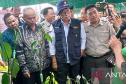 BPPSDMP dorong pemasaran lada Bangka Tengah