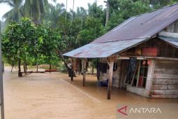 BPBD data puluhan rumah di Mukomuko terendam banjir