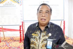 Penanganan stunting di Kalsel, belum terarah pada lokus stunting tinggi