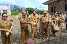 Bupati Mambor: Warga manfaatkan lahan pekarangan untuk ketahanan pangan