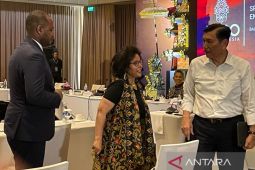 Menko Marves tawarkan potensi ekonomi Indonesia kepada Afrika