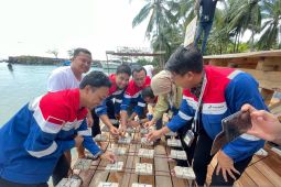 Komitmen Tanggung Jawab Sosial dan Lingkungan, Pertamina Lanjutkan Rehabilitasi Terumbu Karang di Banten
