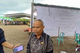 Bangka Tengah kembangkan teknik kawin silang tanaman lada