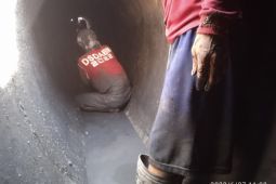 Menelusuri gorong-gorong peninggalan Belanda, atasi banjir di Kota Surabaya