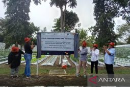 Pupuk Indonesia resmikan kebun percontohan dan pembibitan di Babel