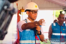 Dirut: PLN salurkan stimulus Rp24,23 triliun untuk pulihlan ekonomi