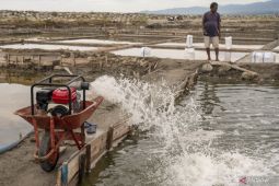 Potensi budidaya ikan air tawar di Abdya capai 1.746 hektare