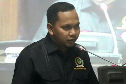 Pansus IP akan sidak tambang kantongi IUP palsu
