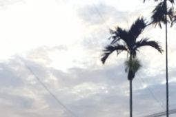 Diskop Supiori produksi sabun mandi dari buah pinang sirih